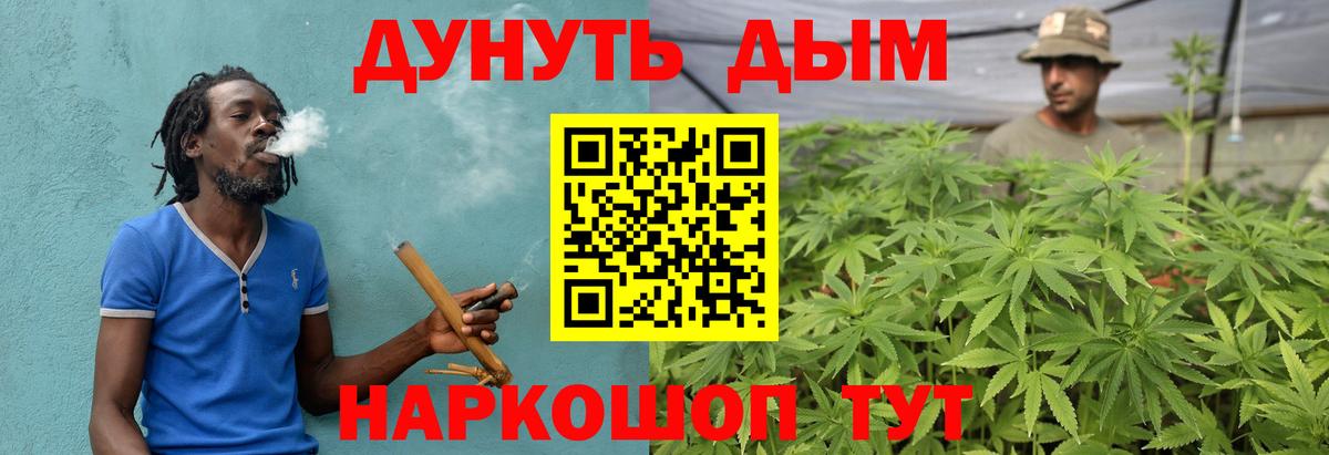 Марихуана гибрид Великий Новгород